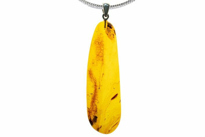 Polished Baltic Amber Pendant (Necklace) - Contains Fly! #339476